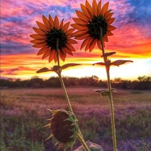 Meet your Posher, Anita